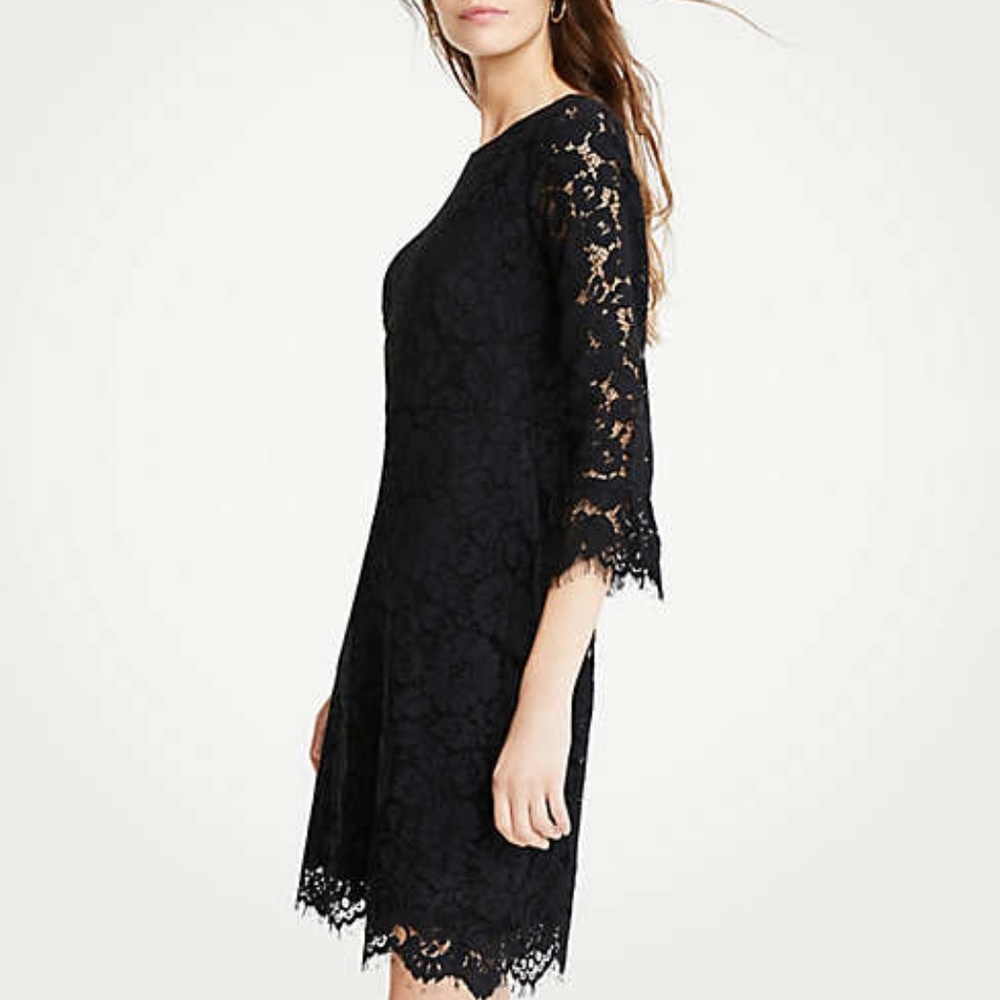 Lace Fluted Sleeve Flare Dress